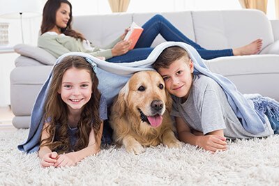 Dog Family Rug